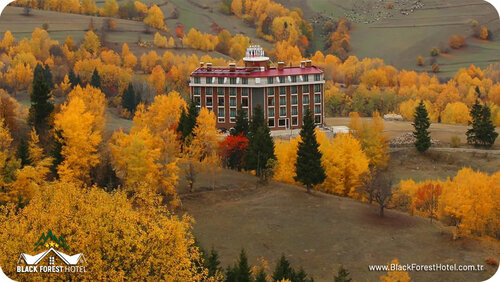 Black Forest Hotel, Забронировать Отель Отели Черноморского региона Турции 3 звезды, 3*