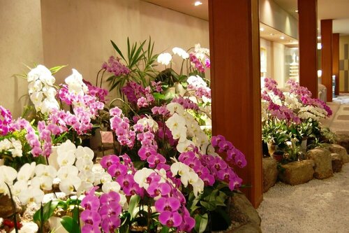 Kochoran, Reserva ahora Hotel Hoteles SPA en Aichi, SPA