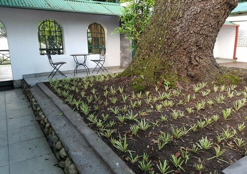 Sherwoods Country House Cc, Reservar Hotel Hotéis em Tzaneen com estacionamento, Estacionamento