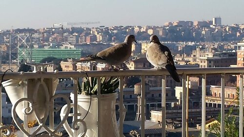 Trastevere 2, Boek Pension Hotels in Lazio met parkeren, Parkeren