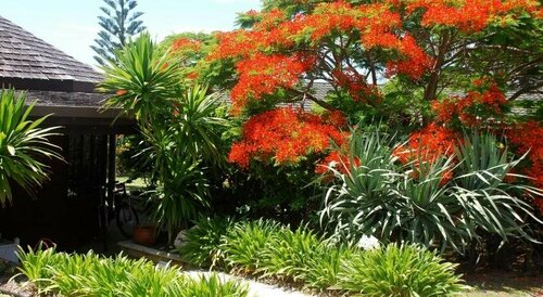 Coast Norfolk Island, Varaa Huoneisto Burnt Pine hotellit, joissa on uima-allas, Uima-allas