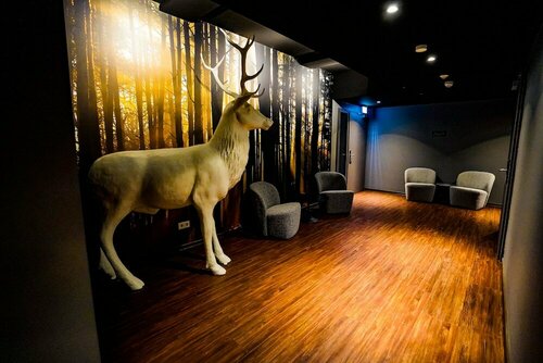 Hotel Viktorosa, Забронировать Отель Отели земли Гессена с парковкой, Парковка