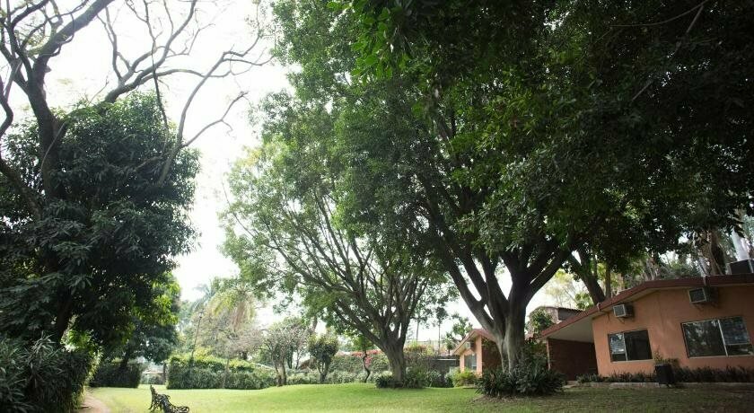 Posada Jacarandas