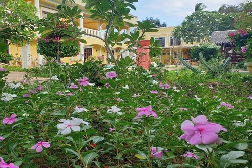 Hanbee's Resort Puerto Princesa Palawan, Rezerwuj Ośrodek wypoczynkowy Hotele w Busuanga Island z Basenem, Basen