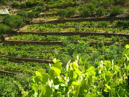 Hotel Rural da Quinta do Silval, Забронировать Отель Vale de Mendiz 