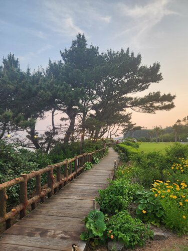 Parnas Hotel Jeju, Забронировать Отель Юнгмун Согвипхо, рядом с Эко-деревня Йерэ
