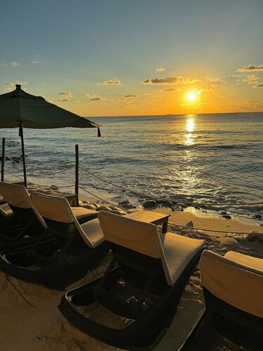 Hotel Casa Colibri, Забронировать Отель Отели Плая-дель-Кармен 3 звезды, 3*