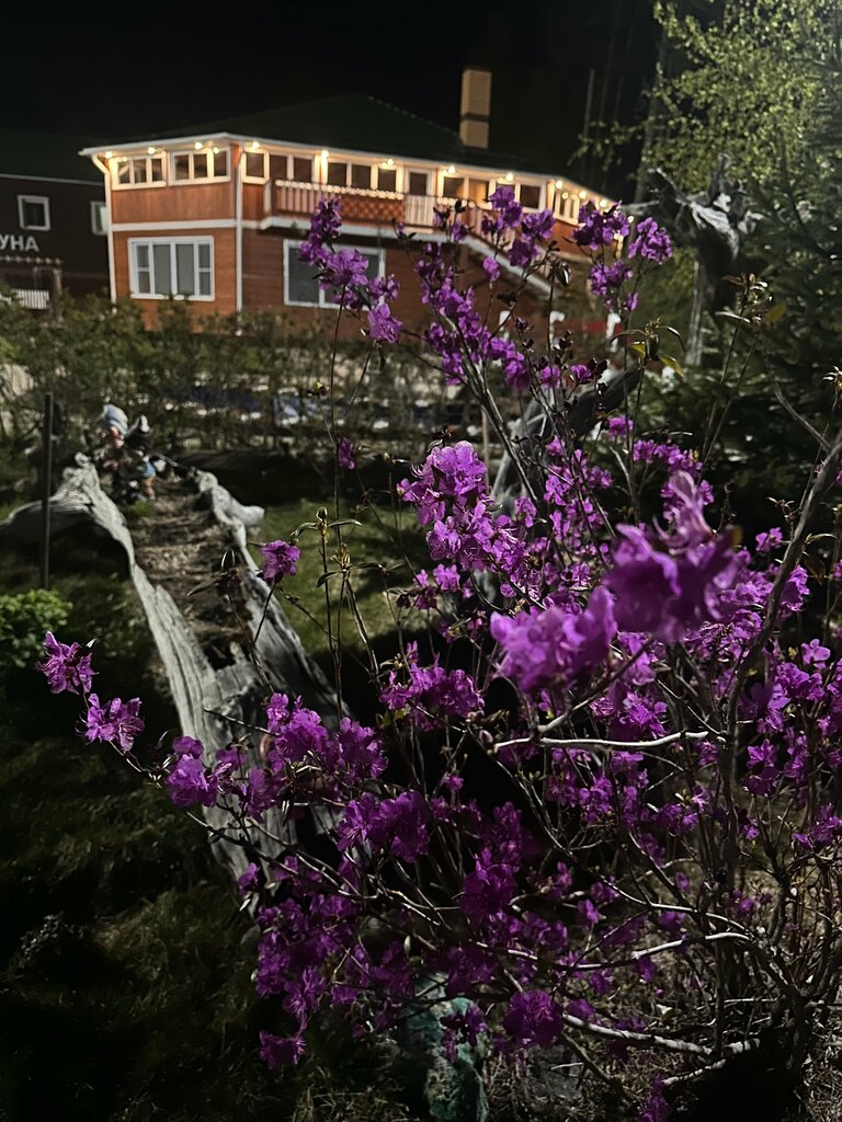 Кумуткан