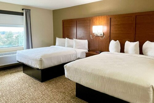 Wingate by Wyndham College Station South, Забронировать Отель Колледж-Стейшн штат Техас, рядом с Медицинский центр Baylor Scott &amp; White в городе Колледж-Стейшн