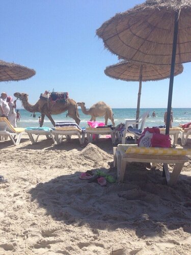 LTI Mahdia Beach, Đặt Khách sạn Mahdia Tuy-ni-di