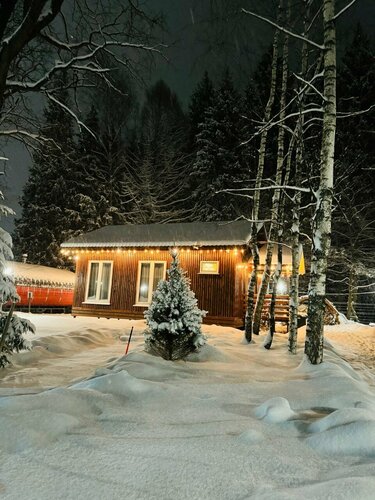 Elki loft, Boek Pension Sholohovo Mytishchi Urban Okrug