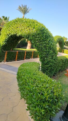 Rehana Royal Beach Resort - Aquapark & Spa - Family & Couples Only - Premium Ultra All-Inclusive 24H, Забронировать Курортный отель Шарм-эш-Шейх Южный Синай, рядом с Пляж Рехана