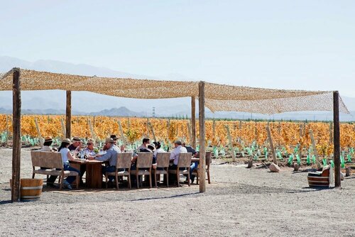 Casa de Uco Vineyards and Wine Resort, Забронировать Отель Отели Uco Valley с бассейном, Бассейн