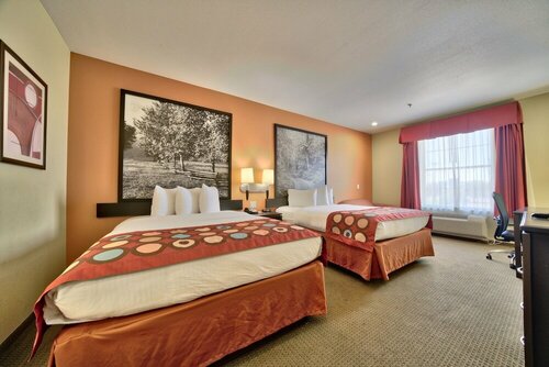 Super 8 By Wyndham Lubbock Tx, Book Hotel Lubbock hoteller med pool, Swimmingpool