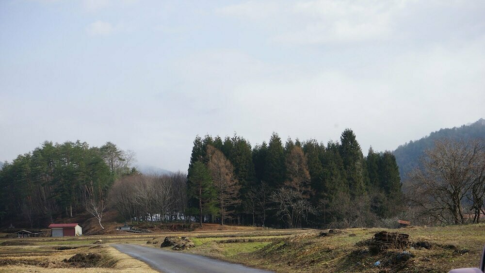 Hotel Kikori