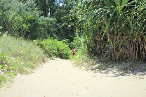 Under The Coconut Tree Hoi An Homestay, Rezervovat Hostel Hostely v Quang Nam, Hostel