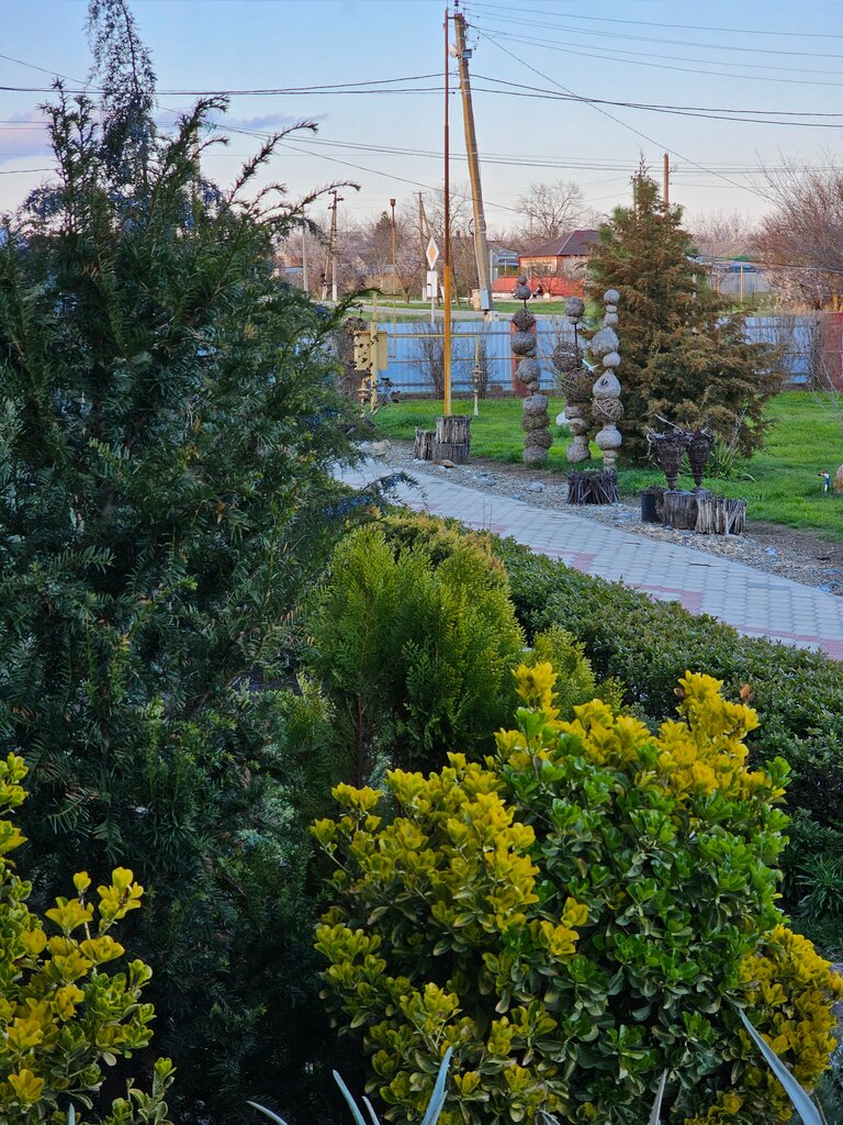 Альбатрос