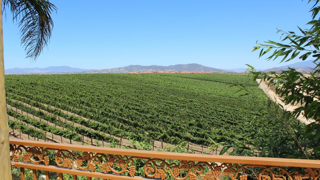 Carter Estate Winery and Resort