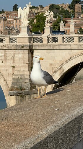 Castel SantAngelo Luxury ArtSuites, Prenota Hotel Roma Lazio