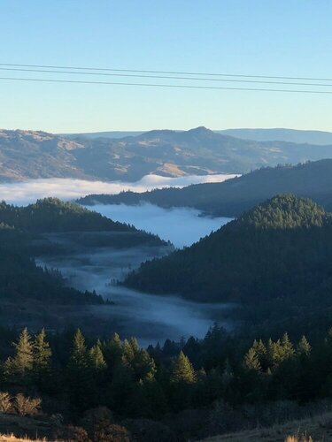 Heartwood Mountain Sanctuary, Book Hotel Hoteller i Humboldt County med pool, Swimmingpool