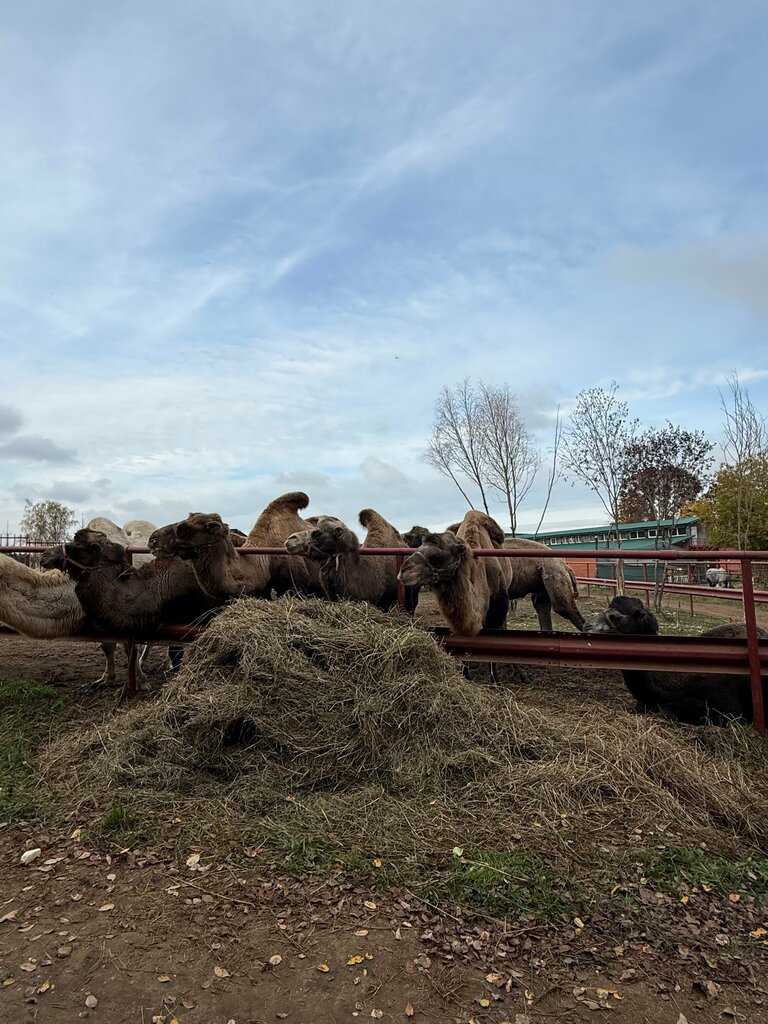 Дом с характером