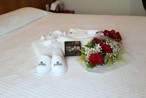 Bourbon Joinville Business Hotel, Rezervați Hotel Joinville Santa Catarina