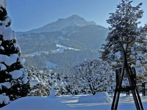 Luxury Chalet Schoenbichl, Забронировать Шале Виллы Тироля, Вилла