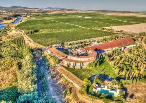 Hotel Bodega Pago del Vicario, Забронировать Отель Отели Лас-Касас 4 звезды, 4*
