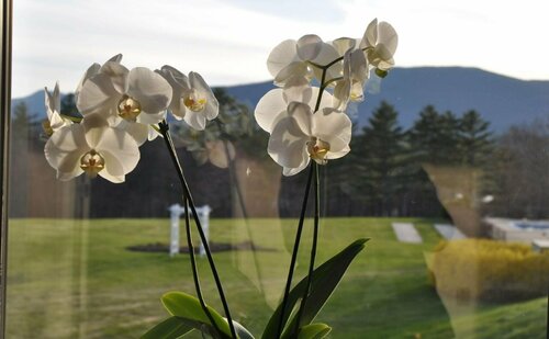 Fox Ridge Resort, Забронировать Курортный отель Норт-Конуэй Cranmore Mountain Resort