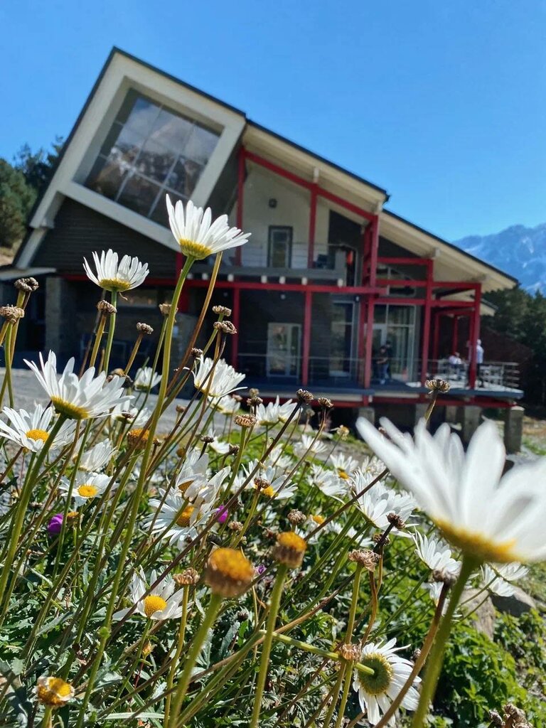 Гостевой дом 1950