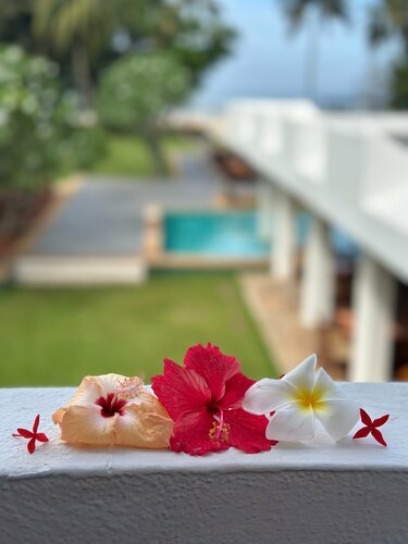 Heritance Ayurveda - All Meals and Treatments, Забронировать Отель Отели Берувела с завтраком, Завтраки