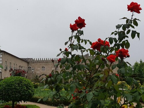 Hotel do Parque, Book Hotel Hoteller i Norte Region med parkering, Parkering