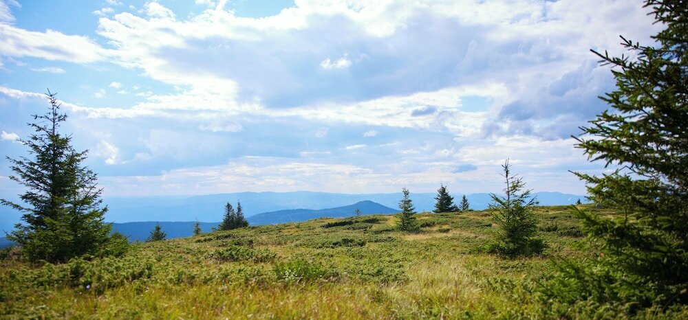 Viceroy Kopaonik Resort & Spa