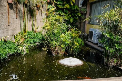 Refugio do Saci Hotel, Забронировать Отель Атибая Sao Paulo Countryside