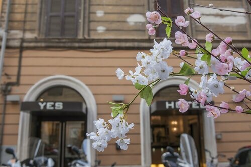 Hotel Des Artistes Roma, Buchen Sie Hotel Bahnhof Termini 