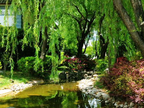 Lijiang Guanfang Garden Holiday Villa, Buchen Sie Villa Villen in Lijiang, Villa