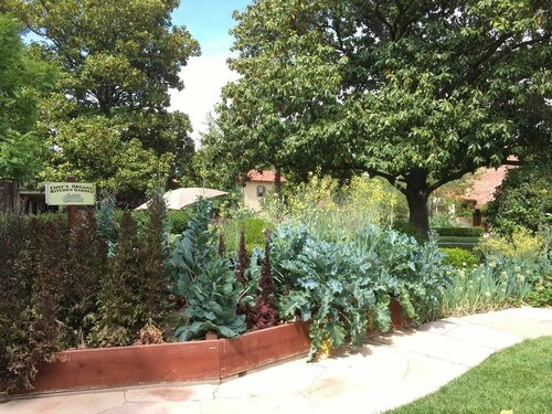 Vines RV Resort, Брондау Резорт San Miguel Paso Robles Wine Country
