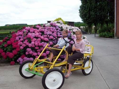 Moortelkenshoeve, Prenota Hotel Hotel a Torhout con parcheggio, Parcheggio