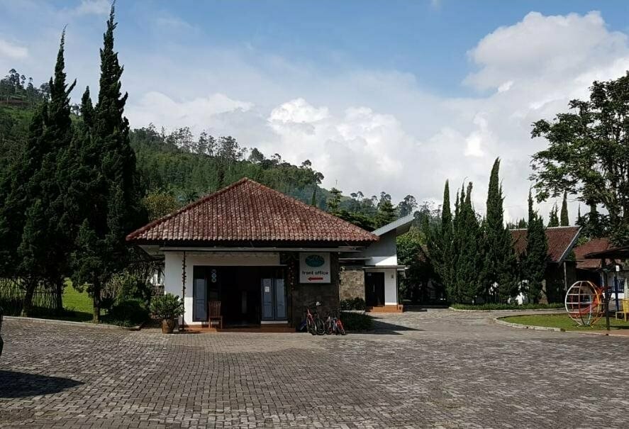 Mountain Springs Resort