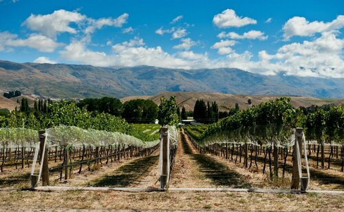 Gibbston House, Reservar Pousada (com pequeno-almoço) Gibbston Otago