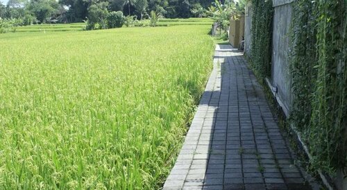 Uma Padi Villa, Boek Villa SPA-hotels in Bali, SPA