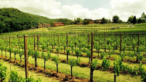 Agriturismo l'Uva e le Stelle, Забронировать Фермерский дом Фермерские дома Фаэдис, Фермерский дом