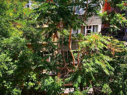 Gafa Garden Hostel & Apartments - Great Location, Забронировать Апартаменты/квартира Апартаменты Стамбула, рядом с Площадь Джихангир, Апартаменты/квартира