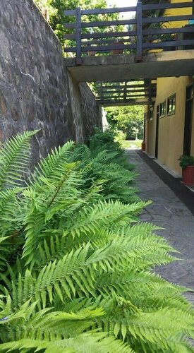 Fattoria del pino, Book Hotel Hoteller i Lake Orta med pool, Swimmingpool
