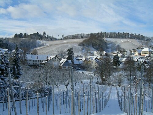 Schwarzwälder Hof, Reserva ahora Hotel Kappelrodeck Selva Negra