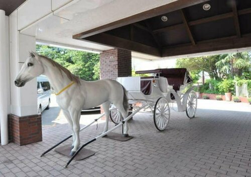 Kamenoi Hotel Aso Park Resort, Book Resort Aso Kumamoto