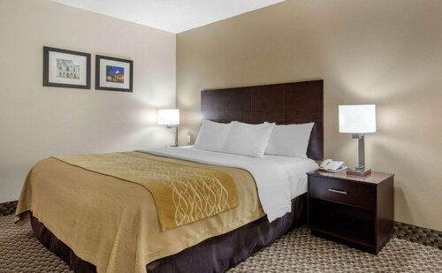 Comfort Inn Horn Lake, Book Hotel Hoteller i Mississippi med pool, Swimmingpool