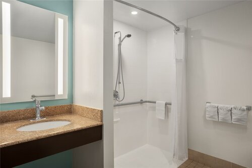 Hilton Garden Inn Tampa North Busch Gardens