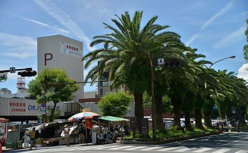 Riverside Hotel Shoei, Book Hotel Kochi Kochi