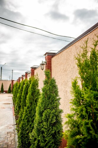 Hotel Tikhiy Dvor, Book Hotel Hotels in Astrakhan Region with Parking, Parking